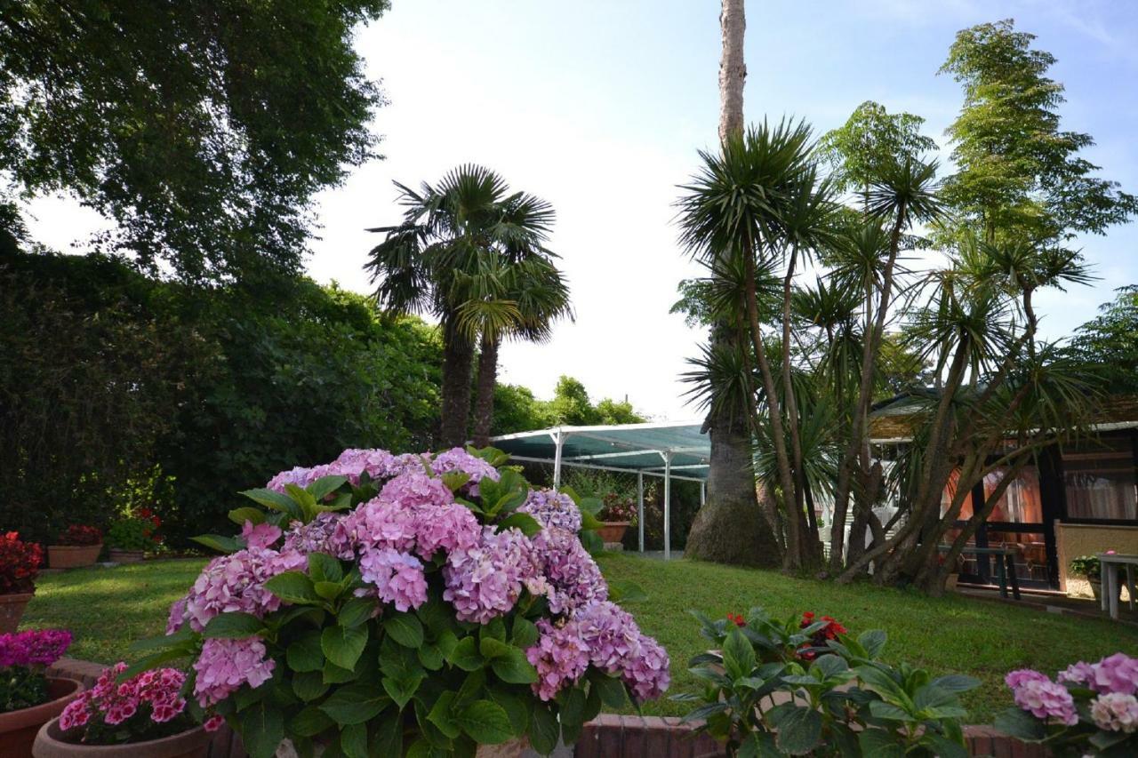 Il Piccolo Nido Bed & Breakfast Borgo Montenero Exterior foto
